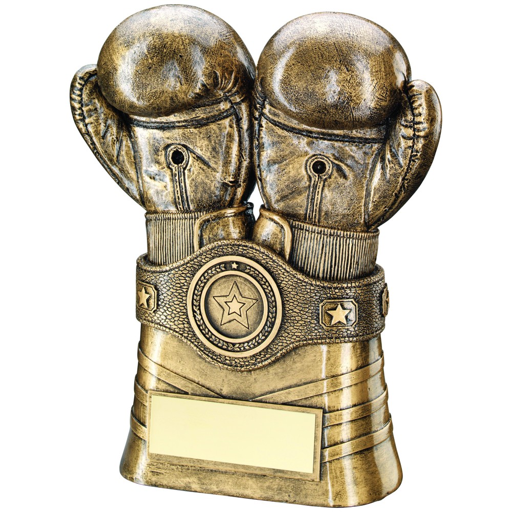 BRZ/GOLD BOXING GLOVES AND BELT WITH PLATE