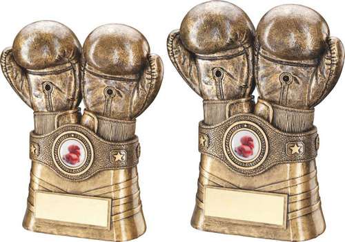 Addica BRZ/GOLD BOXING GLOVES AND BELT WITH PLATE