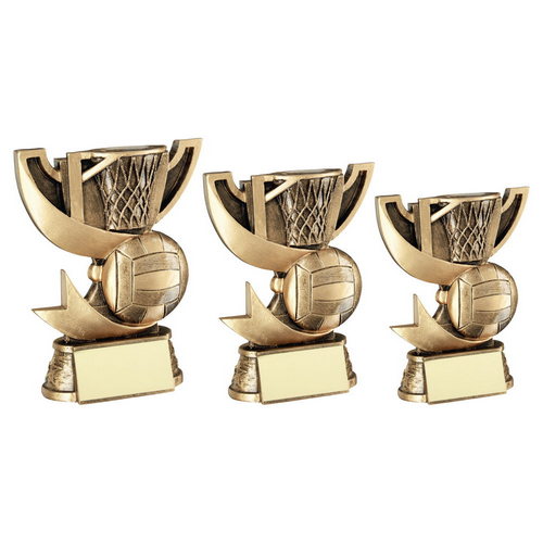 BRZ/GOLD CUP RANGE FOR NETBALL WITH PLATE