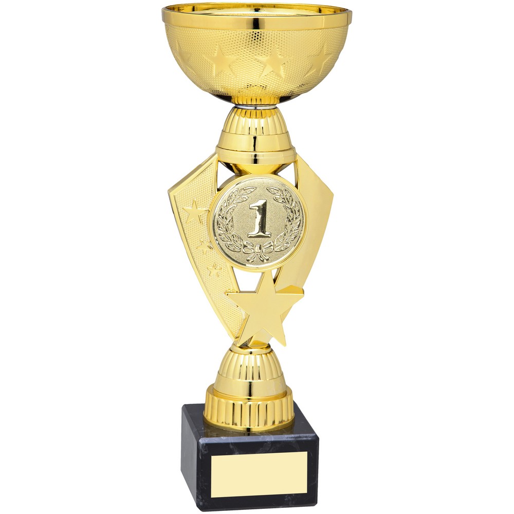 GOLD TOTAL PLASTIC STAR TROPHY WITH PLATE (2in CENTRE)