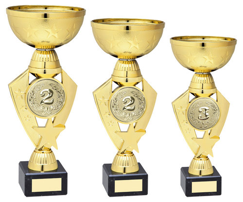 GOLD TOTAL PLASTIC STAR TROPHY WITH PLATE (2in CENTRE)